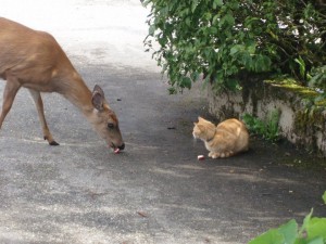 meeting_of_minds